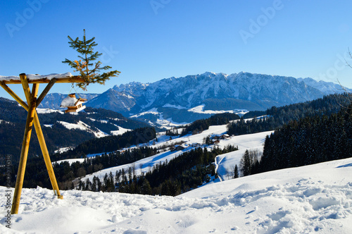 Winter on Mount Erlerberg, Austria photo