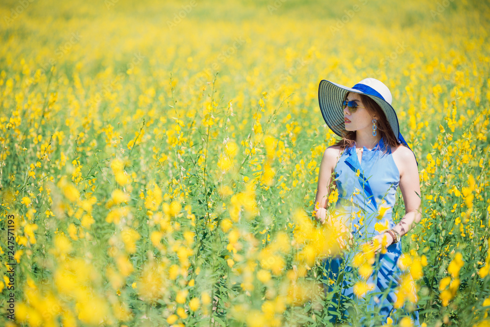 Relaxing in a meadow in the summer sun,spring time.