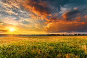 Fototapete Sonnenuntergang Sonnenunterganglandschaft mit einer einfachen wilden Wiese und einem Wald im Hintergrund.  © Maxim Khytra