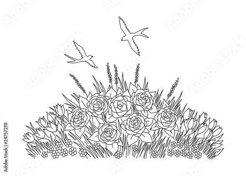 Swallows doodle with flowers on white background. Coloring flowerbed.