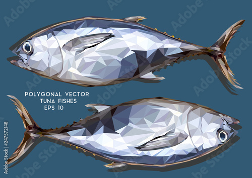 Illustration low polygon drawing of tuna fishes.