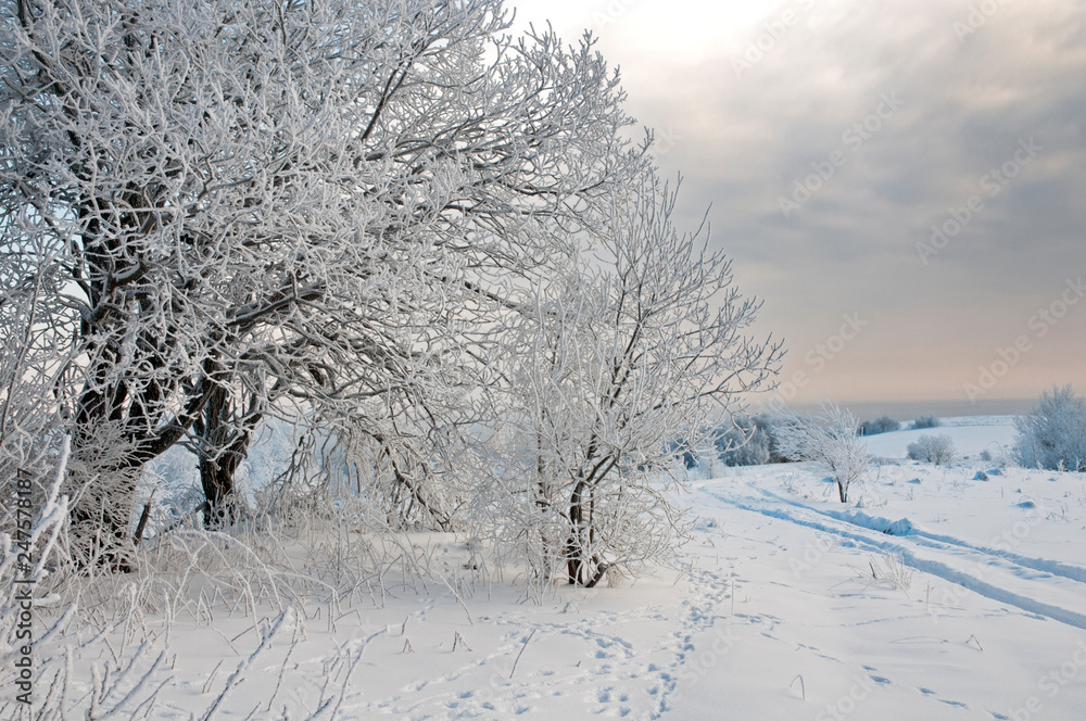 Fototapeta premium beautiful and sunny morning in the winter mountains