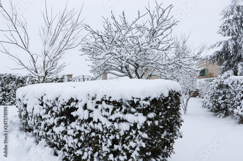 Hiver glace froid