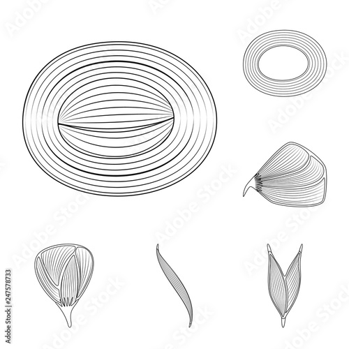 Isolated object of fiber and muscular logo. Set of fiber and body stock symbol for web.