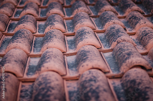 closeup of red roof tiles covered with black moss