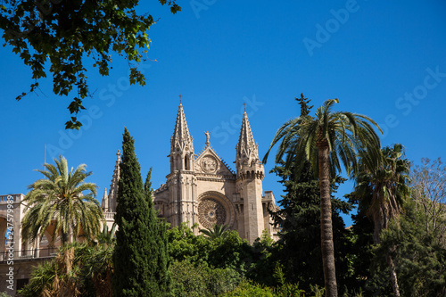 Palma de Mallorca Altstadt und Sehensw  rdigkeiten