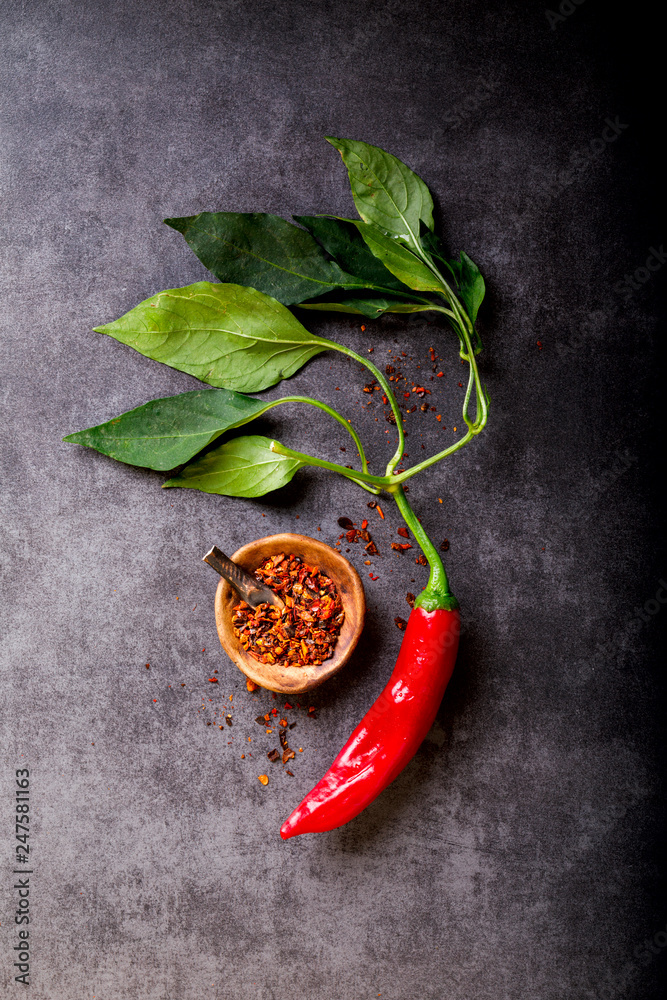 Red Hot Pepper of Chile on a dark background. Spicy food. Seasoning for Cooking.Concept Vegetarian.selective focus.Top View.Copy space for Text. Red Hot Pepper of Chile on a dark background. Spicy food. Seasoning for Cooking.Concept Vegetarian.selective focus.Top View.Copy space for Text.