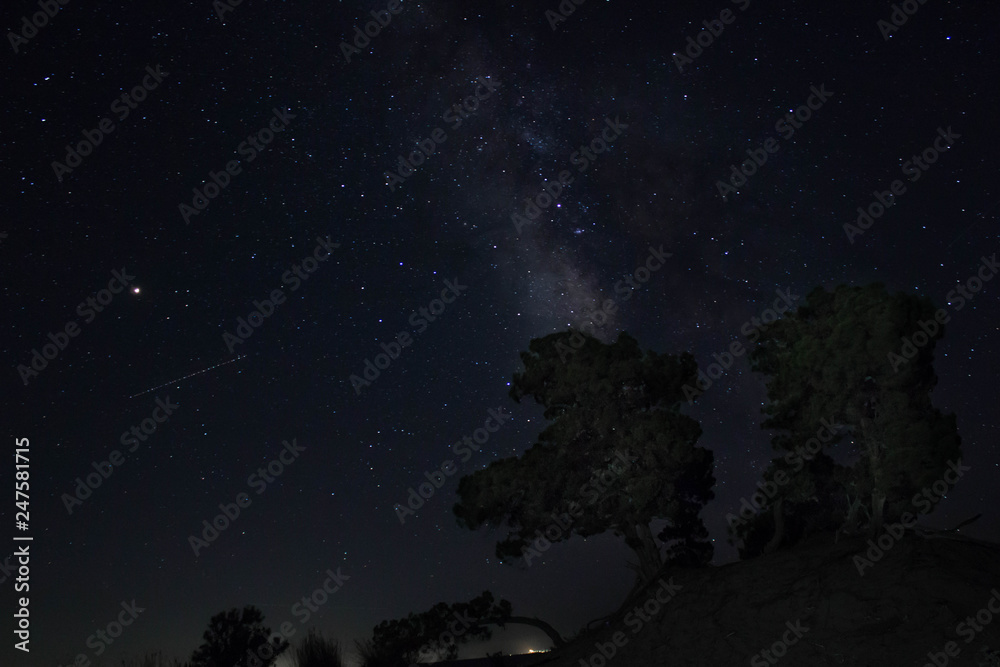 Obraz premium milky way over the trees on an isolated desert
