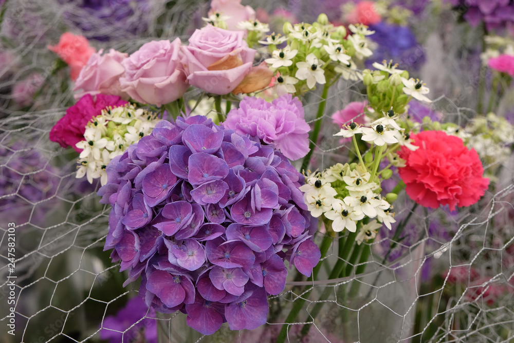 Fototapeta premium Flowers in the garden