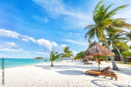 Fototapeta Naklejka Na Ścianę i Meble -  Empty sunny Koh Lipe Beach with tall palms and beach bungalows