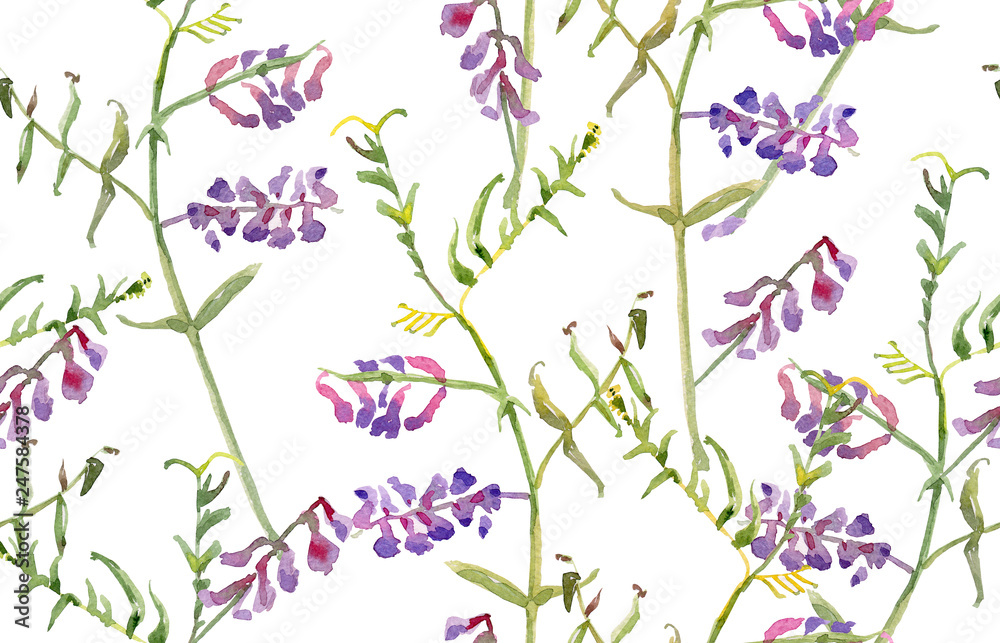 seamless texture with meadow flowers. watercolor painting