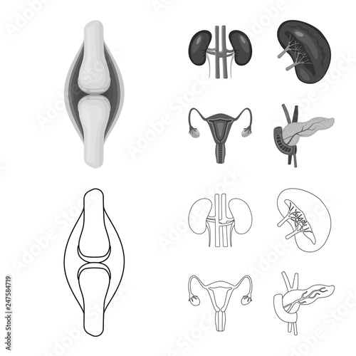 Isolated object of biology and scientific sign. Collection of biology and laboratory vector icon for stock.