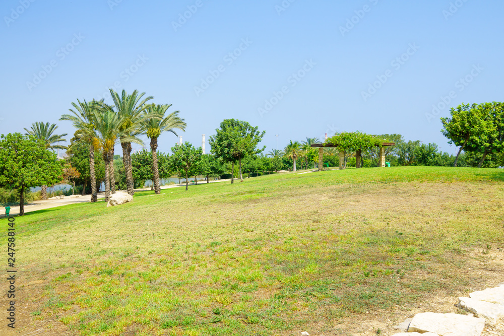 Fototapeta premium Kishon Park, Haifa