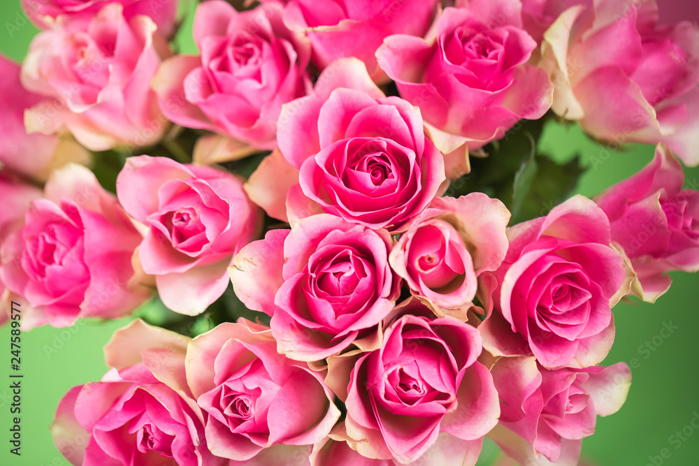 Bouquet of red roses with a pink shade on a pink background. Copypast place Bouquet of red roses with a pink shade on a pink background. Copypast place