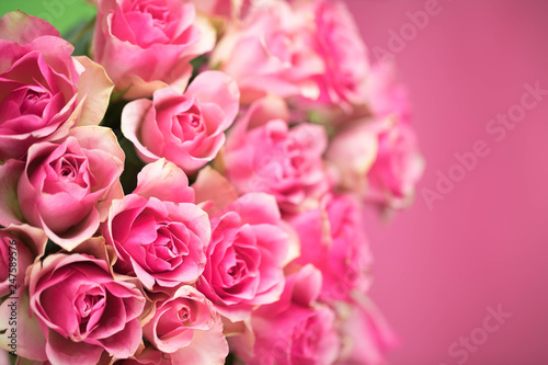 Bouquet of red roses with a pink shade on a pink background. Copypast place