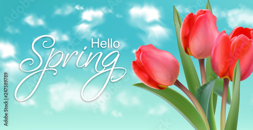 Spring tulip flowers on sky background Vector realistic banner templates