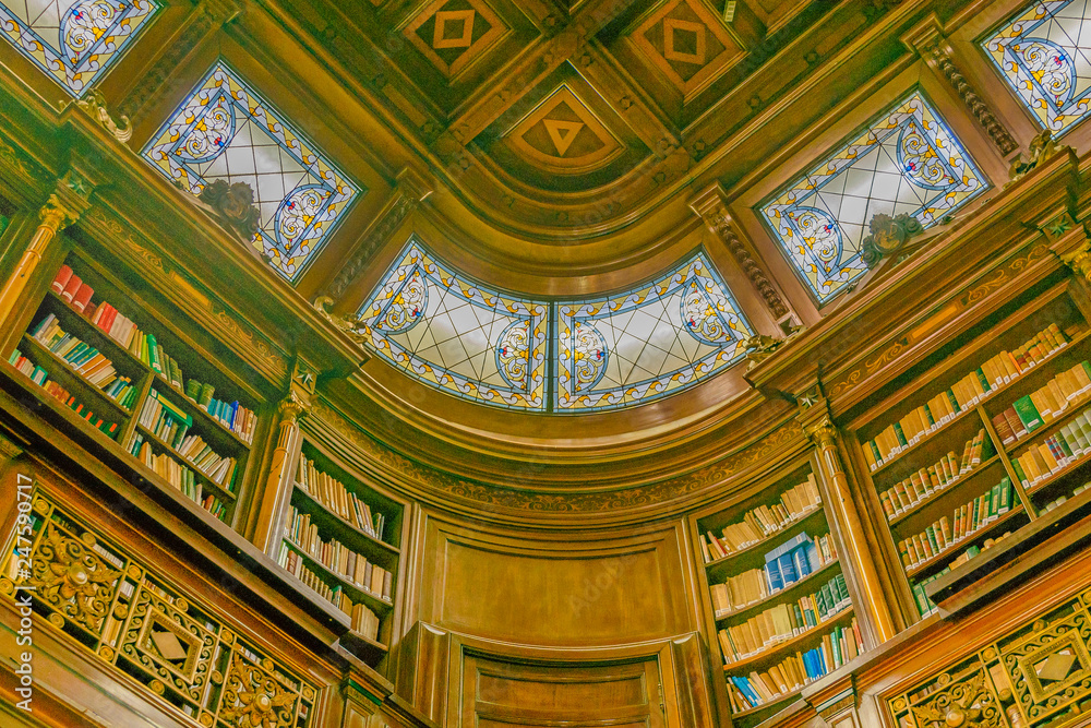 Elegant Library Interior View