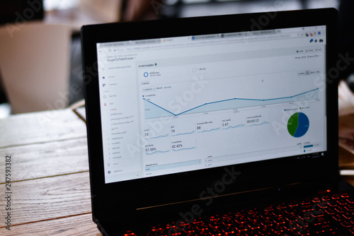 Website Analytics Dashboard, Webmaster was checking traffic visitor report on website