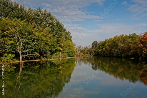 Water arm in Danubian wetland, Malinovo, Slovakia, Europe