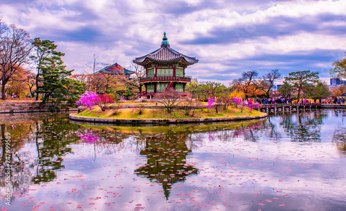 Gyeongbokgung palace in spring at seoul south Korea 