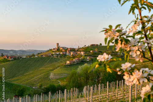 Canvastavla Panoramic view of vineyard hills with ancient village on the top at sunset in sp