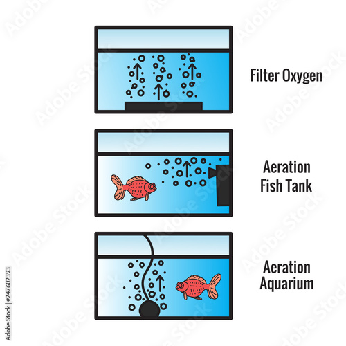 Different types of bubble filters for the fish tank. The scheme is isolated on a white
