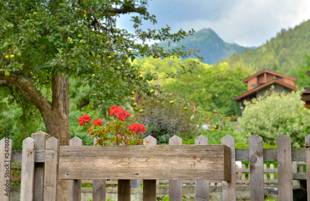 wooden fence in front of green alpine garden and cottage wooden fence in front of green alpine garden and cottage