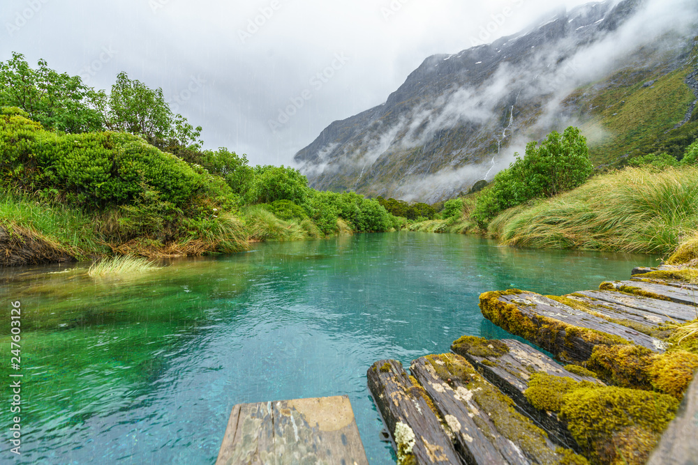Fototapeta premium wooden bridge over river in the mountains in the rain, new zealand 5