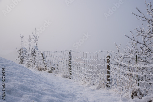 old frozen wired fence outdoors © S J Lievano