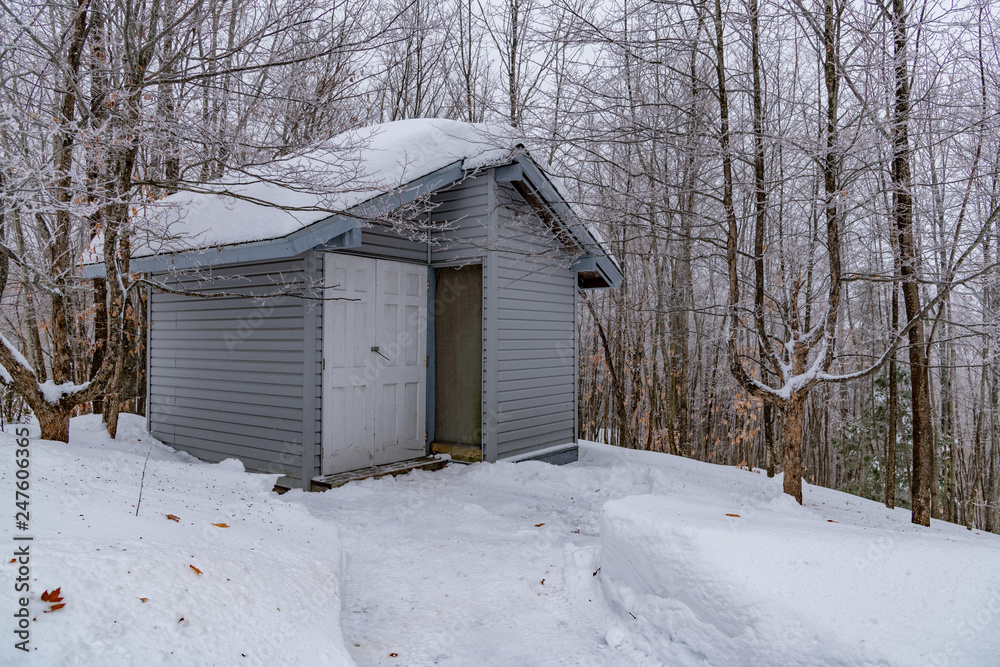 Winter woodshed