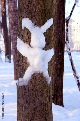 Snow hare on the tree