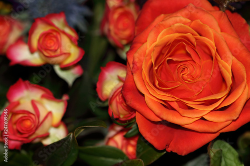 Orange-red roses big and small flowers in a bouquet