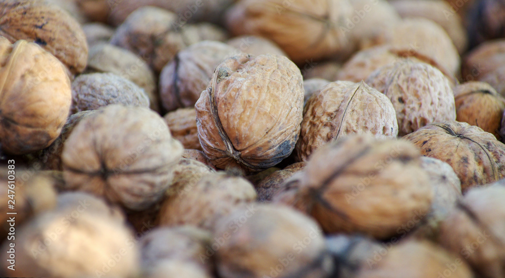 Closer looking at walnuts. Closer looking at walnuts.