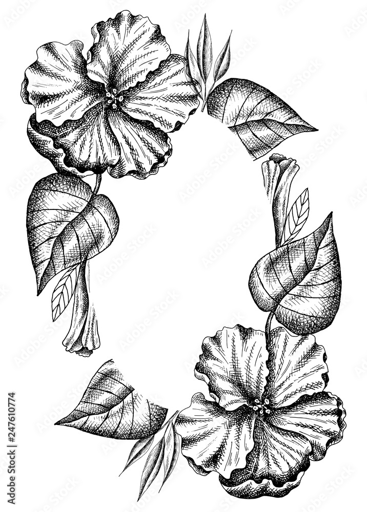 Buy Tropical Flowers Sketch Exotic Plants Vector Monstera Leaf Online in  India  Etsy