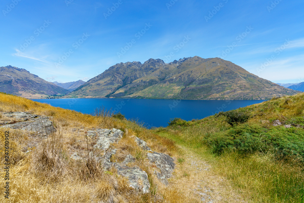 hiking jacks point track with view of lake wakatipu, queenstown, new zealand 1