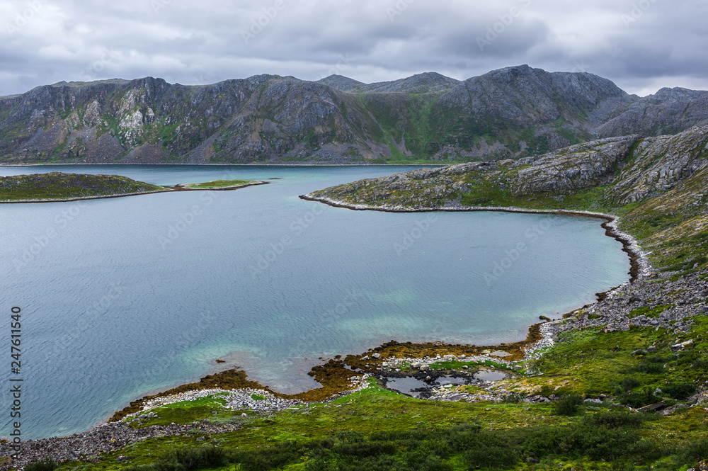 Vista di un fiordo norvegese in estate