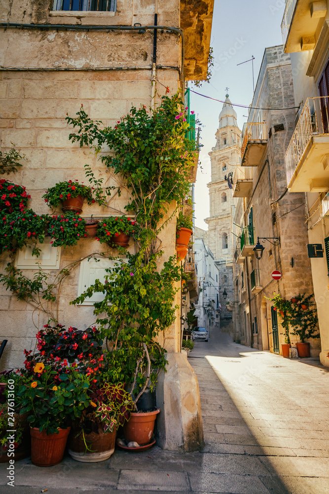 Naklejka premium Scenic green flowers on the street corner and cathedral tower in Monopoli, Italy