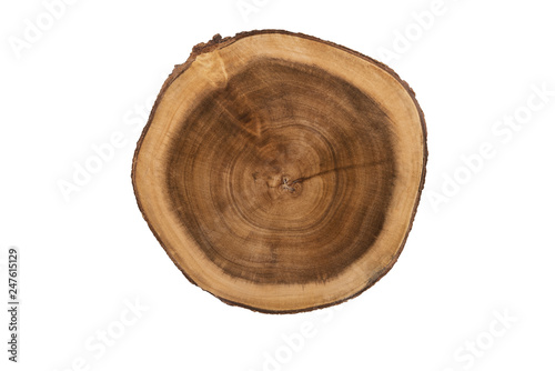 Real close up on a round wooden cut texture, directly above. Isolated on white background.
