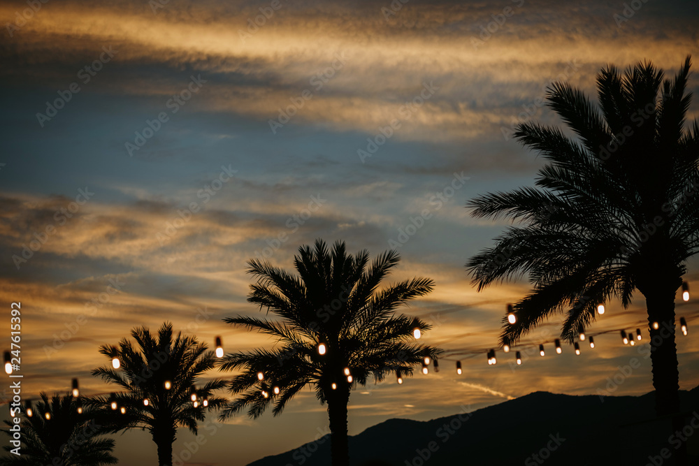 Obraz premium Yellow lights hang between the green palms on the sunset