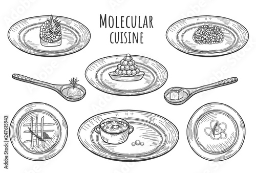 molecular cuisine dishes