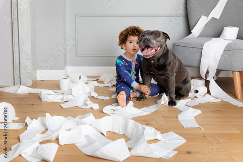 Mischievous boy and dog play with toilet paper rolls
