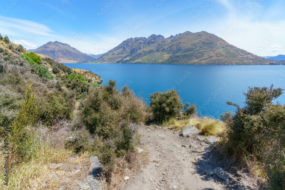 hiking jacks point track with view of lake wakatipu, queenstown, new zealand 68