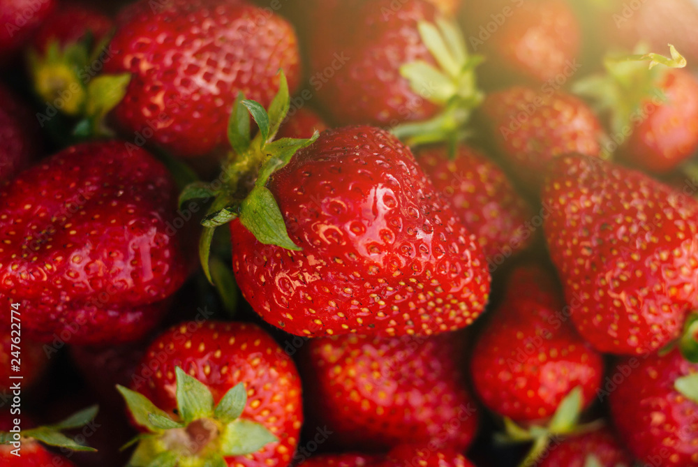 Red strawberries on a white plate. A lot of berries. Summer fruits Red strawberries on a white plate. A lot of berries. Summer fruits