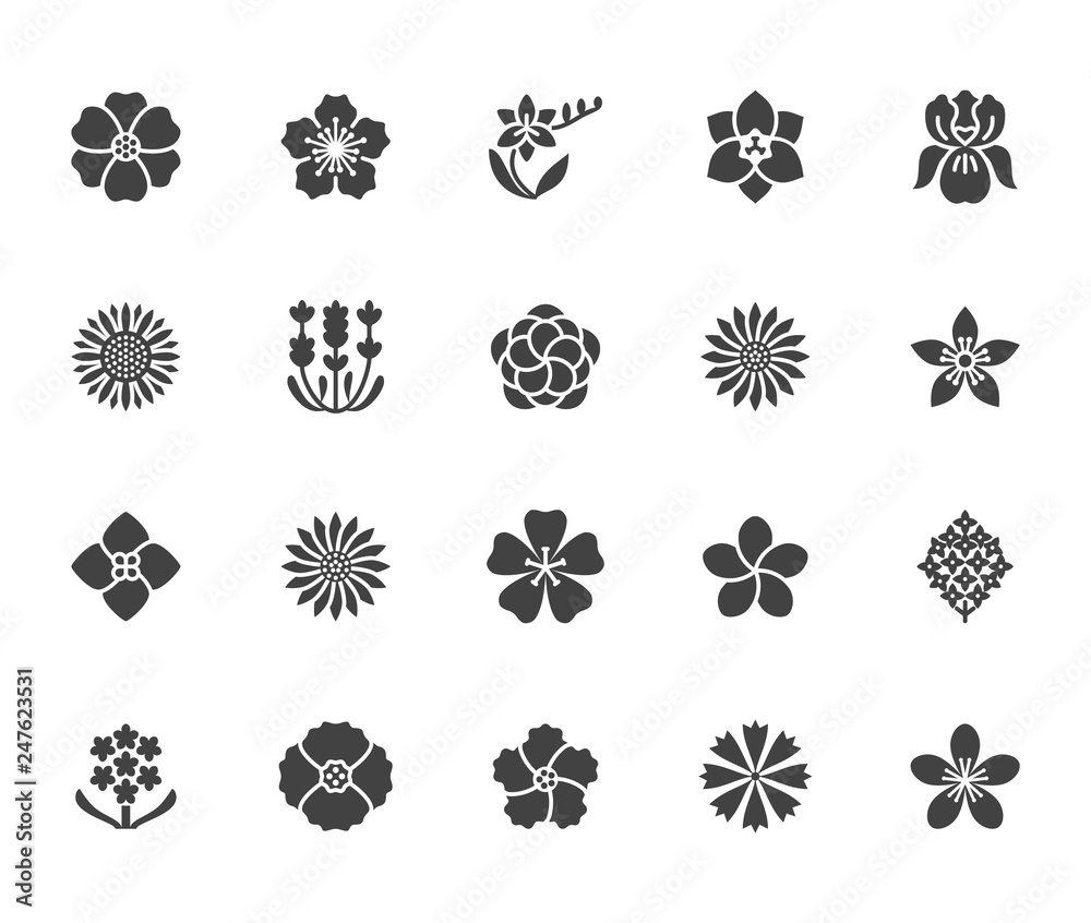 Flowers flat glyph icons. Beautiful garden plants - sunflower, poppy, cherry flower, lavender, gerbera, plumeria, hydrangea blossom. Signs for floral store. Solid silhouette pixel perfect 64x64