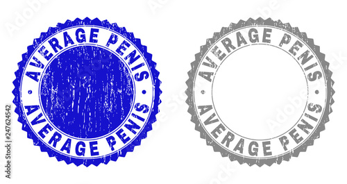Grunge AVERAGE PENIS stamp seals isolated on a white background. Rosette seals with distress texture in blue and gray colors. Vector rubber imitation of AVERAGE PENIS tag inside round rosette.