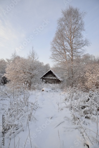 old house in the winter forest © staval