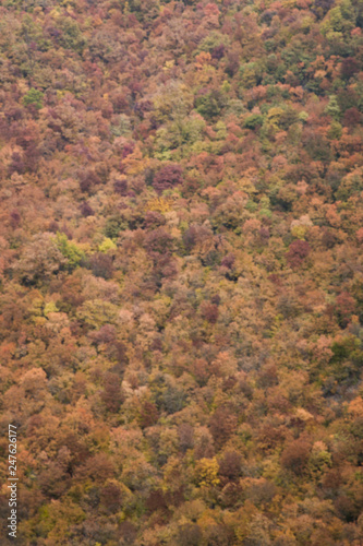 Defocused backdrop view at ...