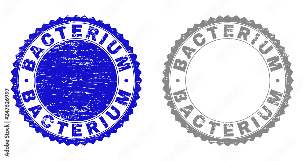 Obraz premium Grunge BACTERIUM stamp seals isolated on a white background. Rosette seals with distress texture in blue and grey colors. Vector rubber imitation of BACTERIUM title inside round rosette.