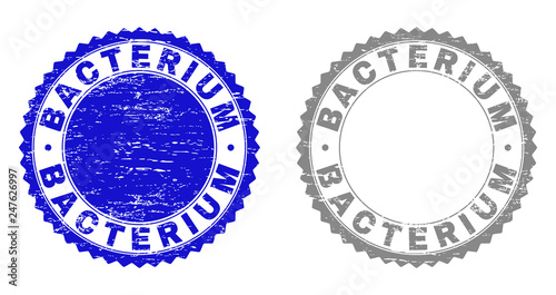 Grunge BACTERIUM stamp seals isolated on a white background. Rosette seals with distress texture in blue and grey colors. Vector rubber imitation of BACTERIUM title inside round rosette.