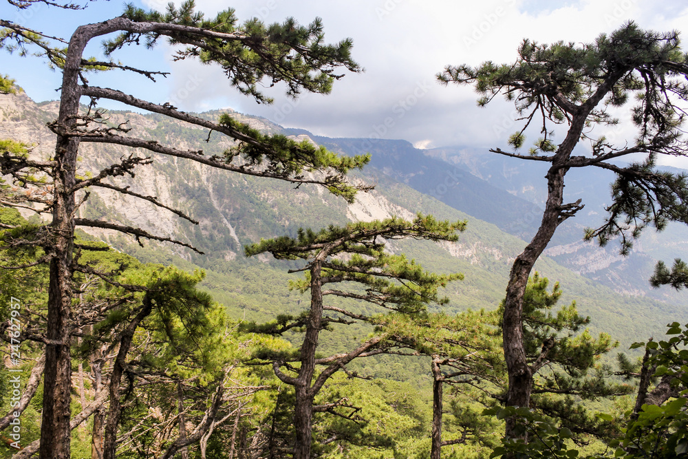 Crimean mountain landscape.